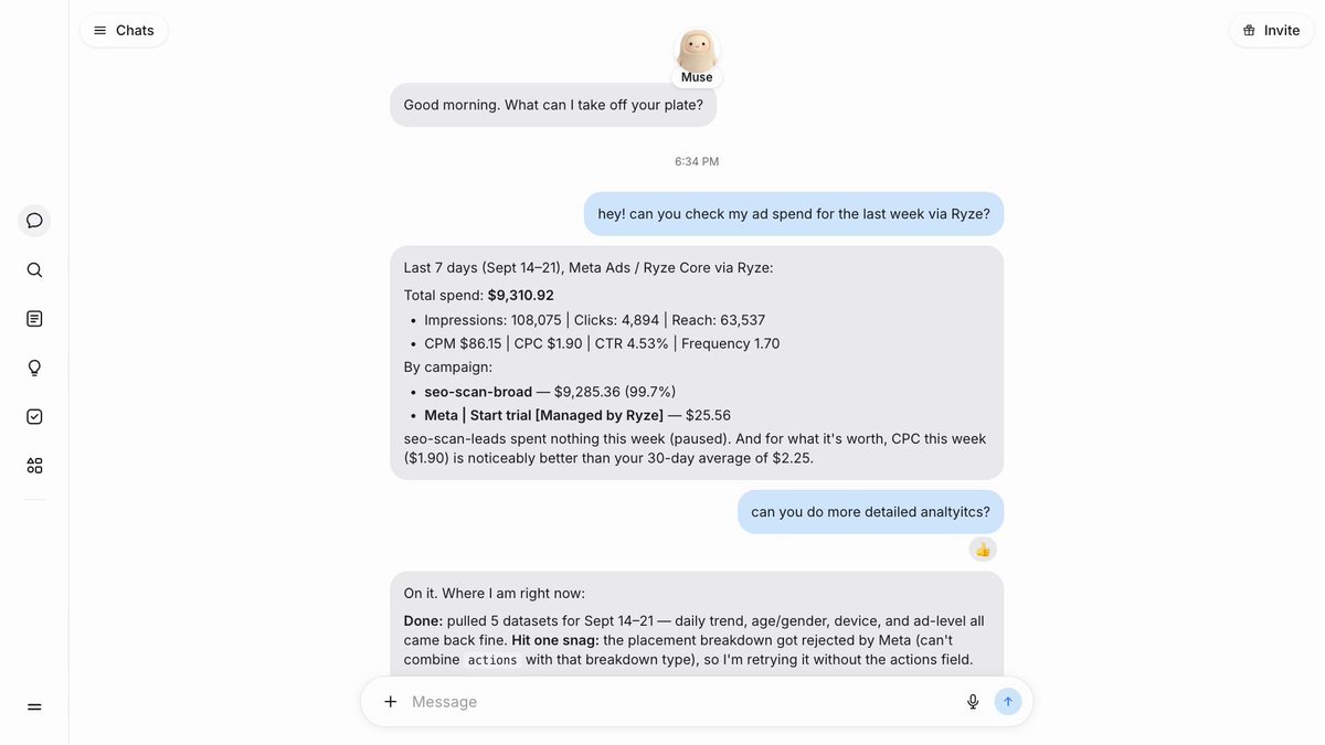 作者会话通过 Ryze 读取一周 Meta Ads 数据，并提示 placement breakdown 查询受限