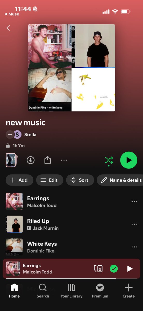 A private new music playlist in the Spotify mobile app with tracks, editing controls, and playback controls visible